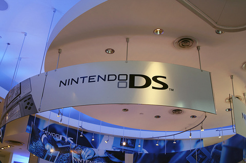 Nintendo DS Section